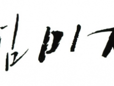 Calligr...